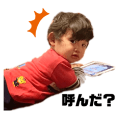529400678