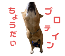529401115