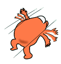 5294539