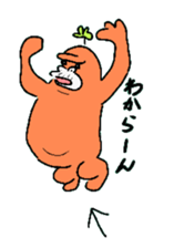 5294555