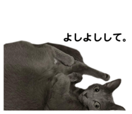 529464230