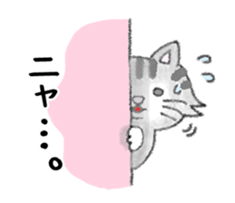 5294709