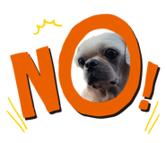 529480289