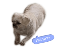 529480309