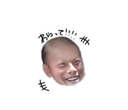 529482254