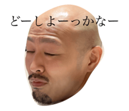 529490481