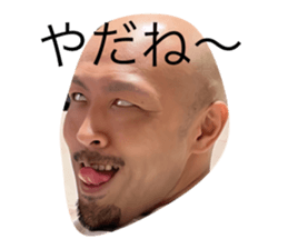 529490482