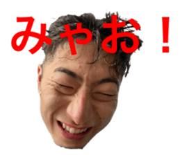 529513812