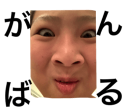 529515017