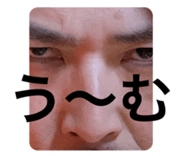 529515022