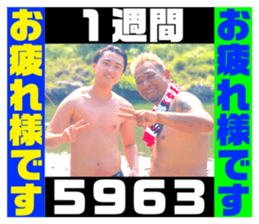 529515209