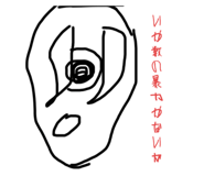 529515719