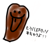 529516021