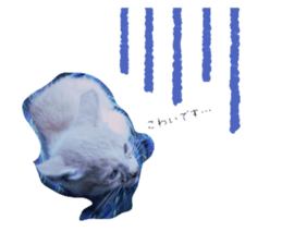529522967