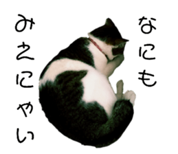 529522979