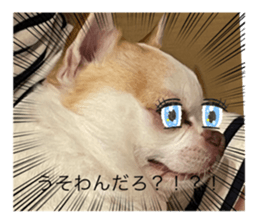529524152