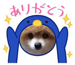 529524363