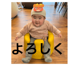 529653162