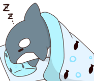 529684598