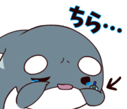 529684614