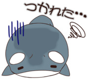 529684630