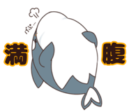 529684637