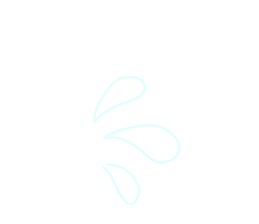 529686220