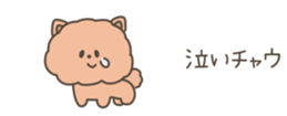 529720889