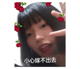 529733067