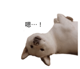 529733715