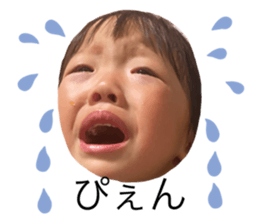 529739409
