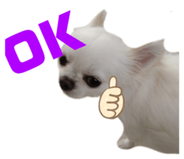 529754717