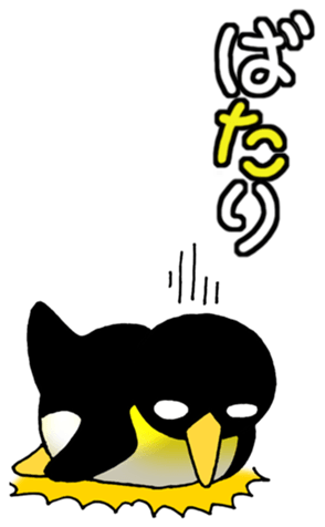529762023
