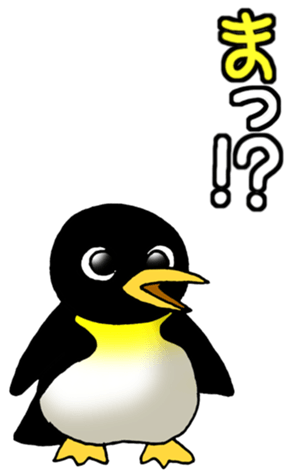 529762026