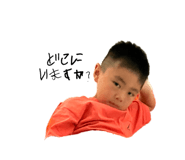 529763492