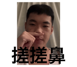 529766496