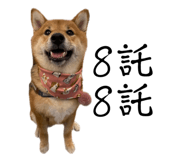 529766566