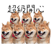 529766576