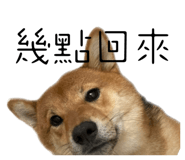 529766579