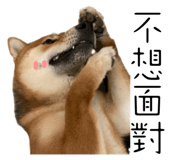 529766581