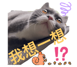 529775672