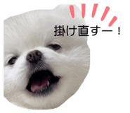 529783826