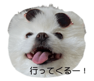 529783828