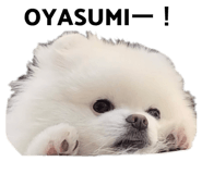 529783836