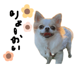 529804735