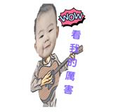 529806295