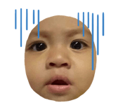 529817743