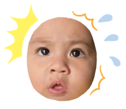529817744
