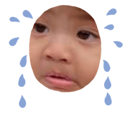 529817749