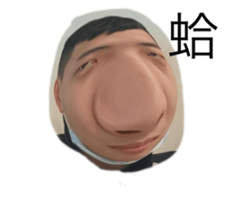 529823095